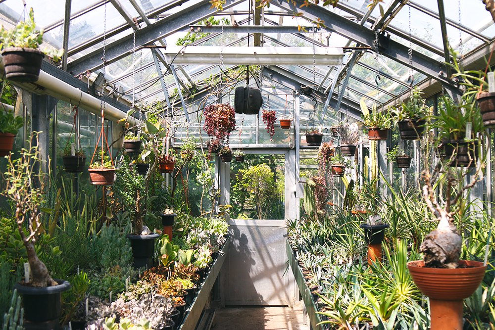 jardin botanique universitaire zuidas amsterdam